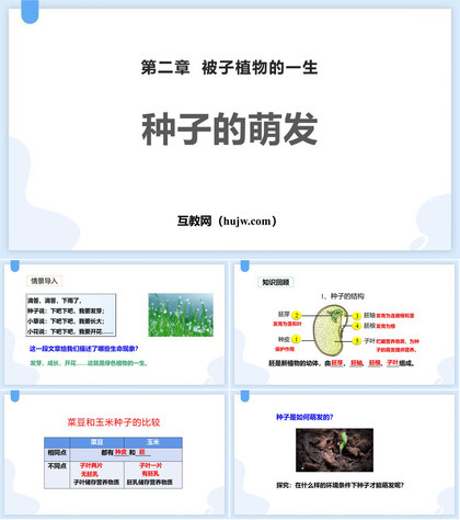 《种子的萌发》PPT精品课件下载