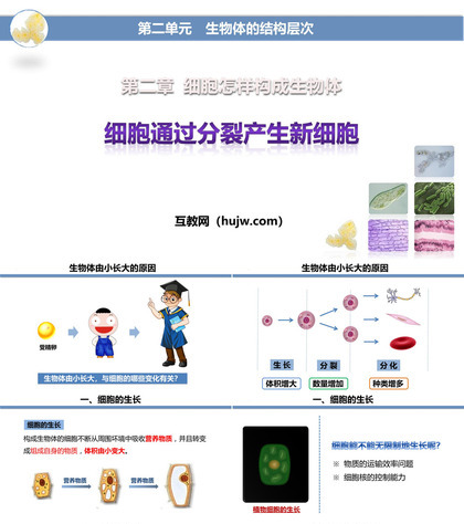 《细胞通过分裂产生新细胞》PPT优质课件下载