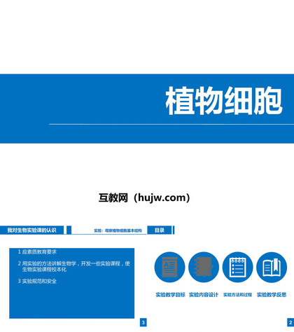 《植物细胞》PPT课件下载