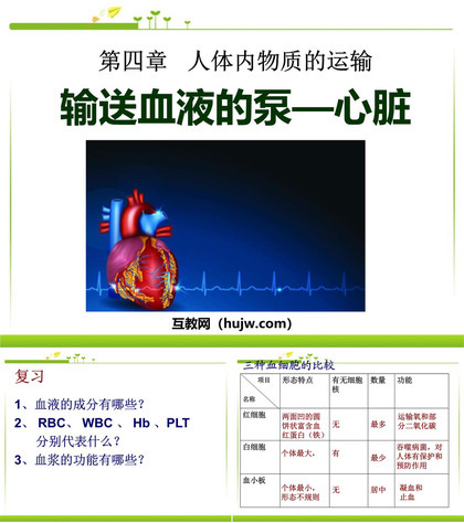 《输送血液的泵-心脏》人体内物质的运输PPT课件下载3