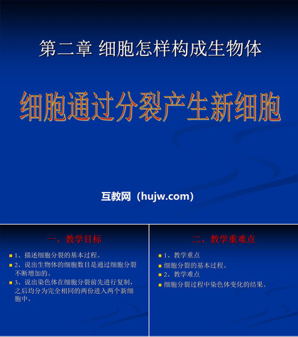 《细胞通过分裂产生新细胞》细胞怎样构成生物体PPT课件下载5