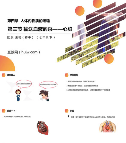 《输送血液的泵——心脏》PPT精品课件