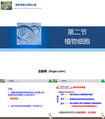 《植物细胞》PPT免费下载