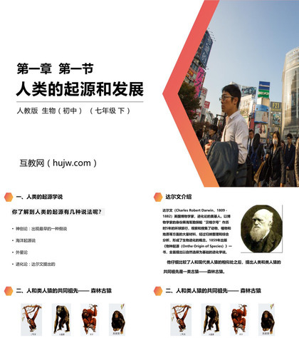 《人类的起源和发展》PPT精品课件