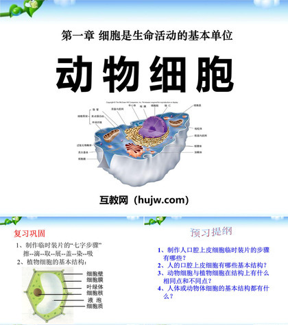 《动物细胞》细胞是生命活动的基本单位PPT课件下载7