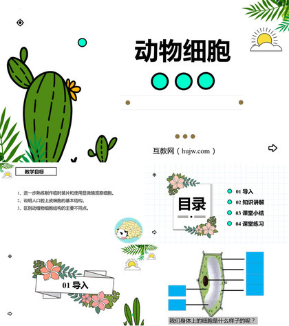 《动物细胞》PPT免费课件下载