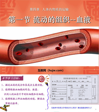 《流动的组织-血液》人体内物质的运输PPT课件下载3