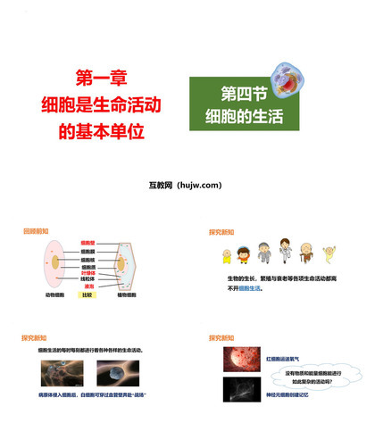 《细胞的生活》PPT精品课件下载