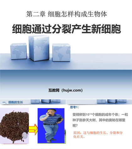 《细胞通过分裂产生新细胞》细胞怎样构成生物体PPT课件下载4