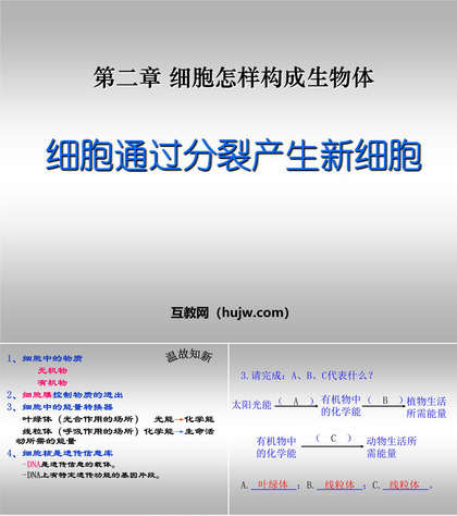 《细胞通过分裂产生新细胞》细胞怎样构成生物体PPT课件下载6