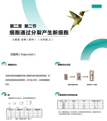 《细胞通过分裂产生新细胞》PPT精品课件