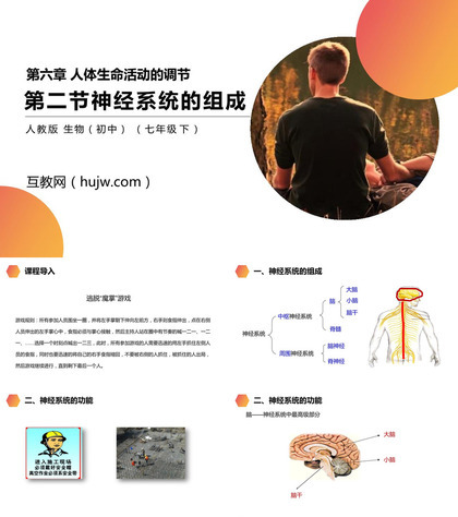 《神经系统的组成》PPT精品课件