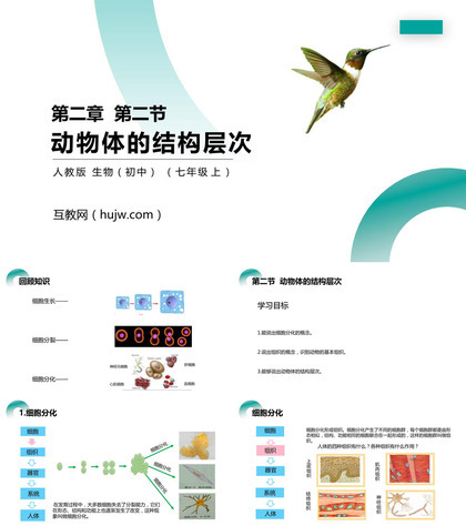 《动物体的结构层次》PPT精品课件