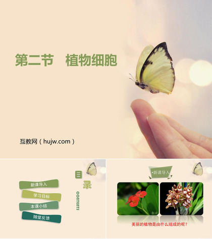 《植物细胞》PPT教学课件