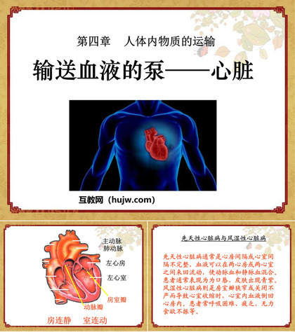 《输送血液的泵-心脏》人体内物质的运输PPT课件下载