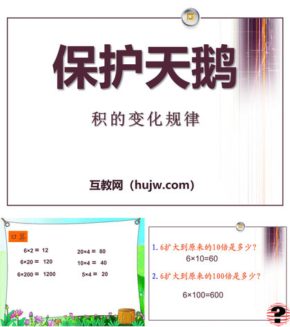 《保护天鹅》PPT课件下载10