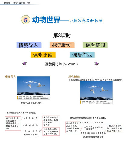 《动物世界》PPT教学课件(第8课时)