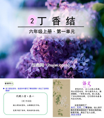 《丁香结》PPT下载