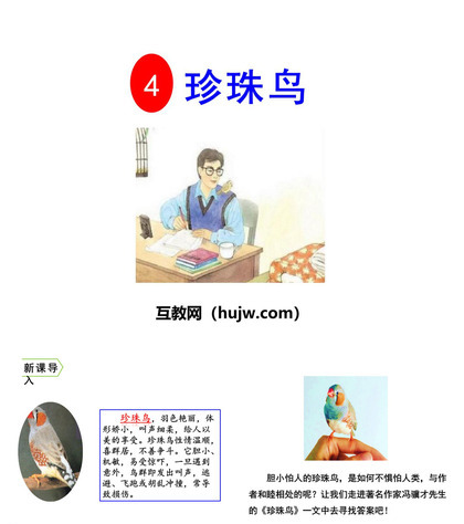 《珍珠鸟》PPT下载