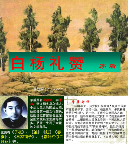 《白杨礼赞》PPT课件下载7