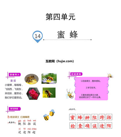 《蜜蜂》PPT教学课件