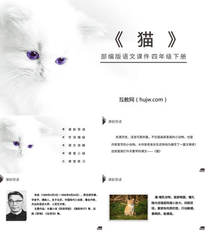 《猫》PPT课件下载免费下载