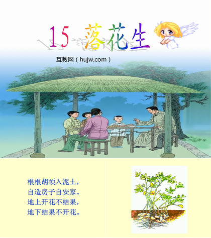 《落花生》PPT课件下载7