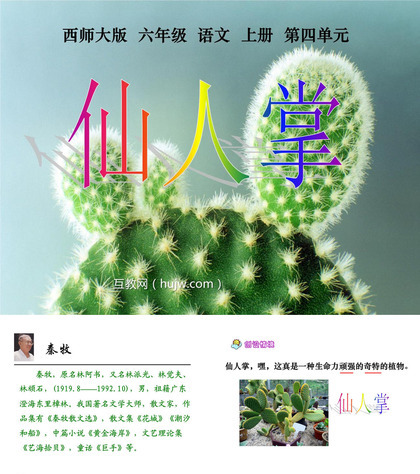 《仙人掌》PPT课件下载