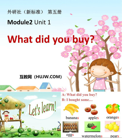 《What did you buy?》PPT课件下载2