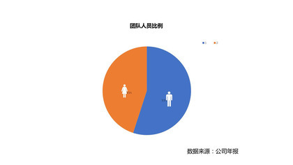 公司年报团队人员比例饼状图PPT