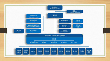 企业组织结构情况PPT图表