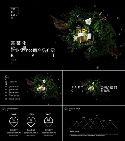 XX企业文化公司产品介绍PPT模板