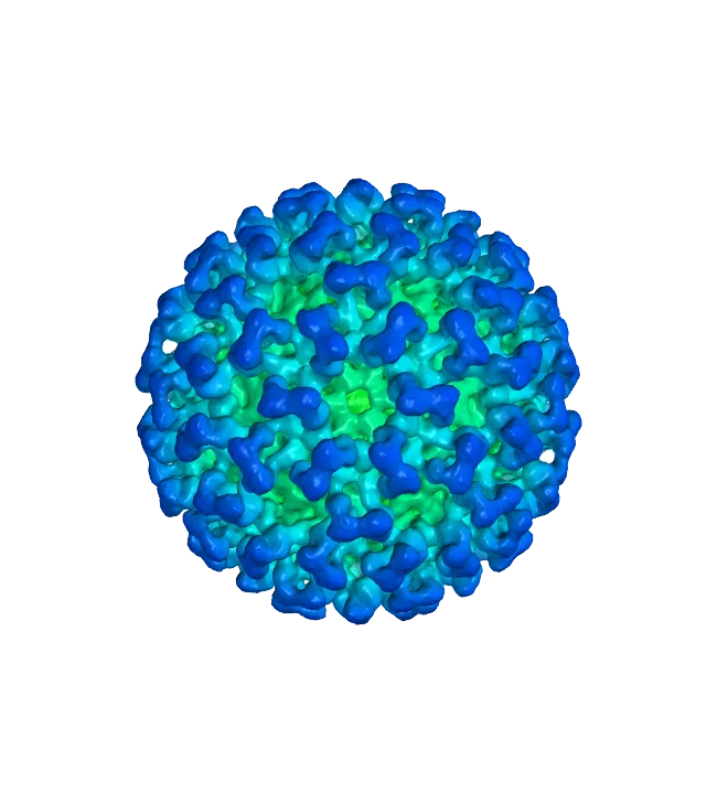 化学生物学物理学冠状病毒PNG免抠图片