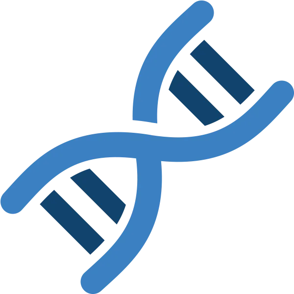 染色体分子生物工艺学dnaPNG免抠图片