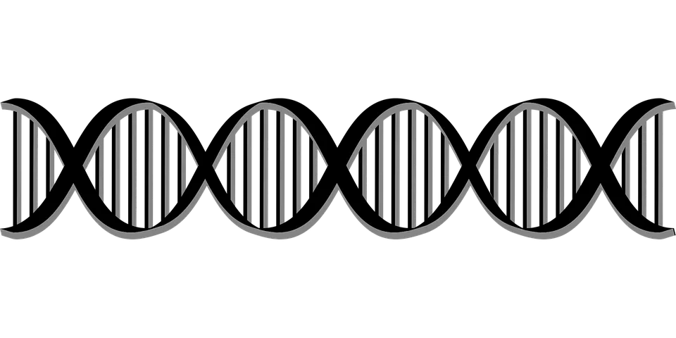 建筑物研究健康生活方式dnaPNG免抠图片