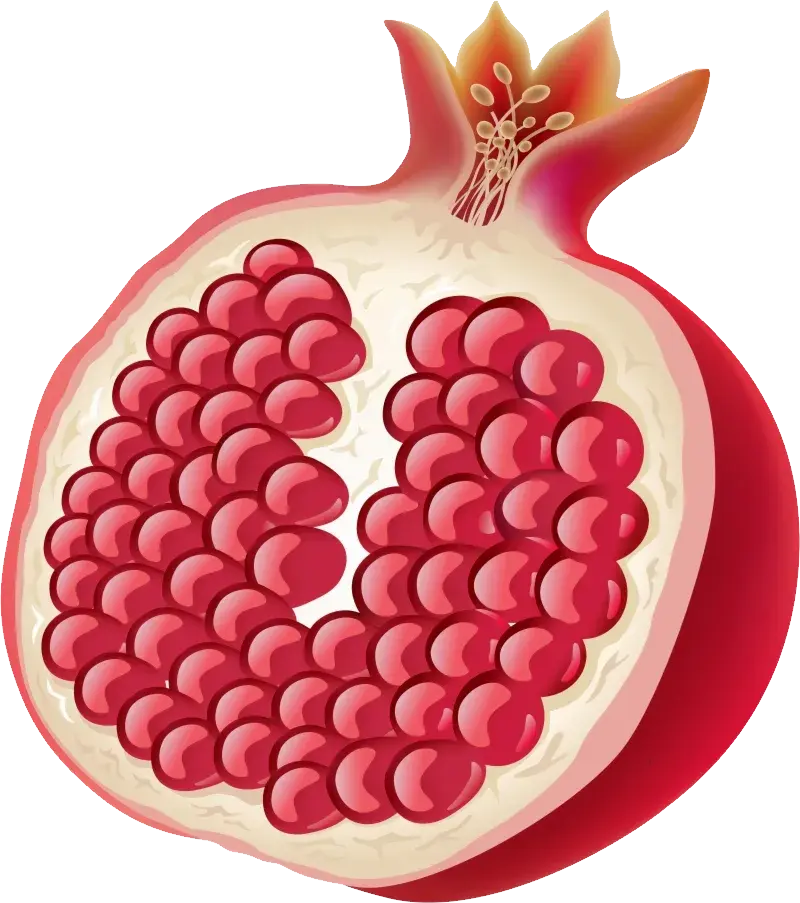 食物矢量图健康生活方式石榴PNG免抠图片