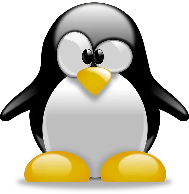 矢量图鸟动物linux操作系统PNG免抠图片