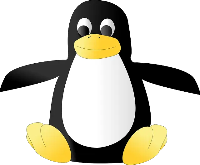 鸟动物喙linux操作系统PNG免抠图片