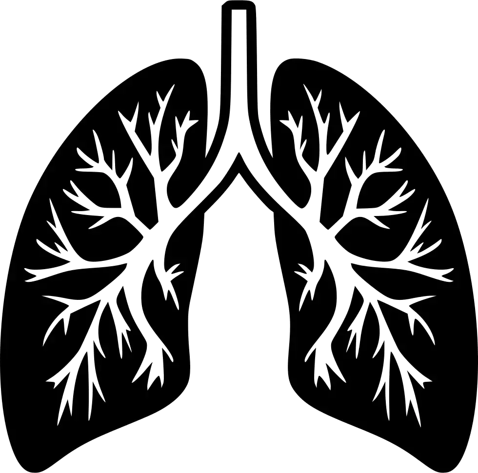 药健康生活方式生物学肺PNG免抠图片