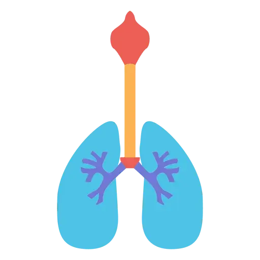 矢量图图标设计肺PNG免抠图片