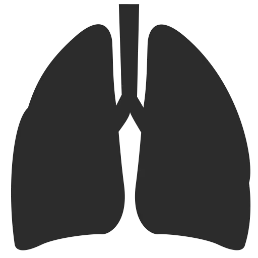 矢量图黑色图标肺PNG免抠图片