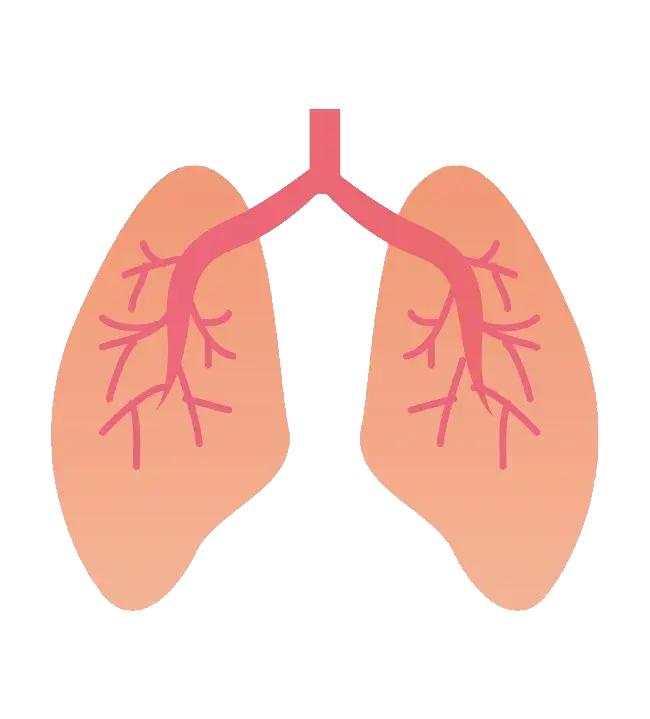 支气管药健康生活方式肺PNG免抠图片