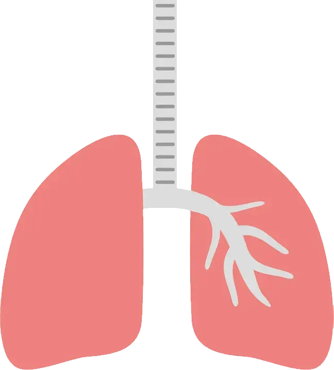 矢量图图标生物学肺PNG免抠图片