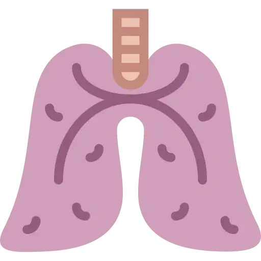 健康生活方式矢量图生物学肺PNG免抠图片