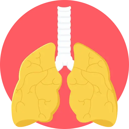 生物学健康生活方式生病肺PNG免抠图片