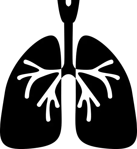 矢量图生物学象征肺PNG免抠图片