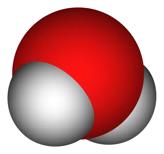 菜肴蛋球分子PNG免抠图片