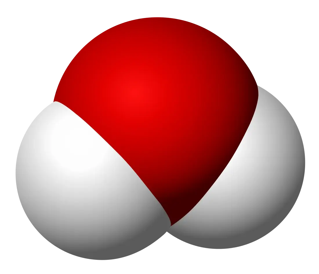 蛋菜肴球分子PNG免抠图片