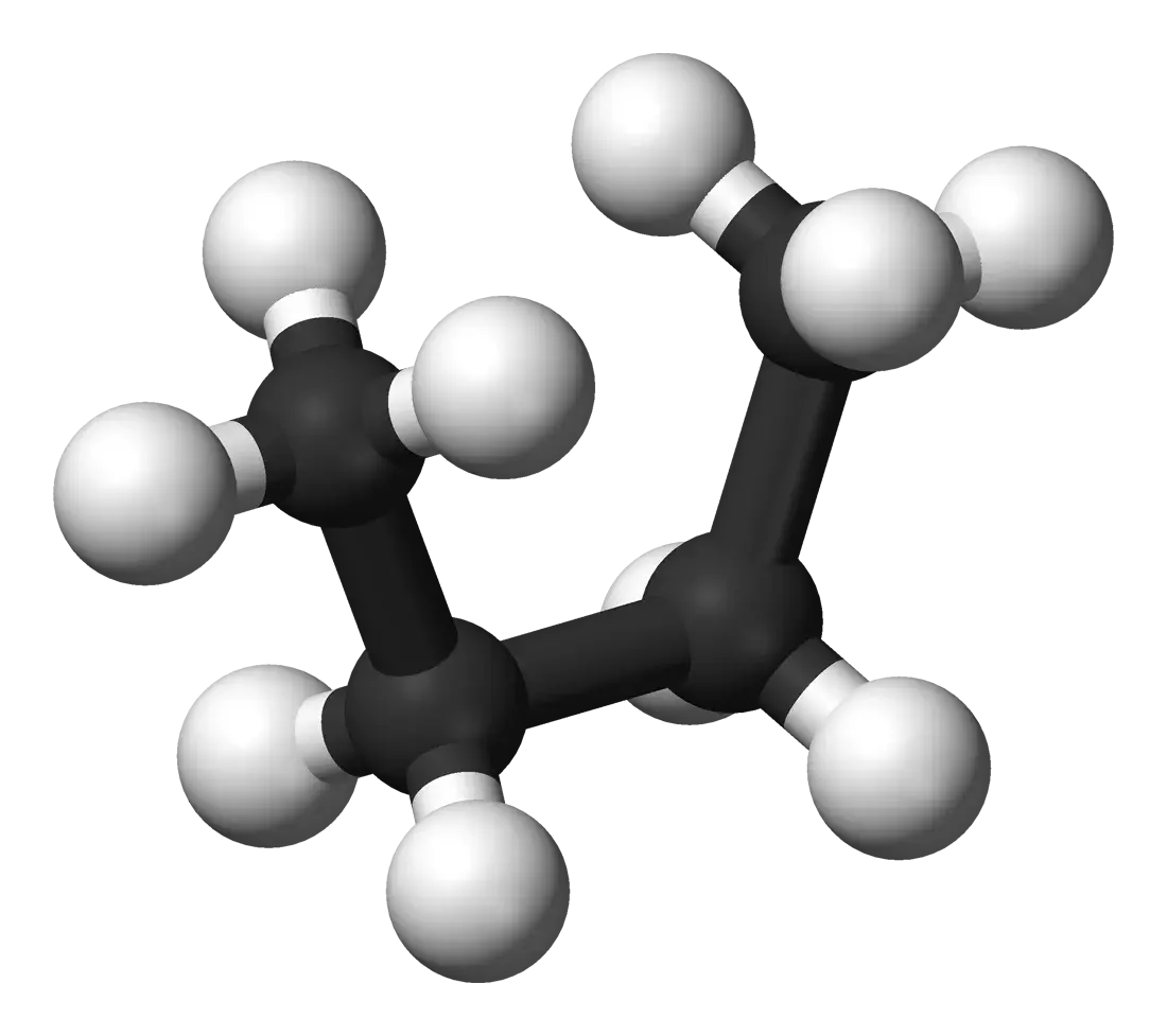 蛋菜肴矢量图分子PNG免抠图片