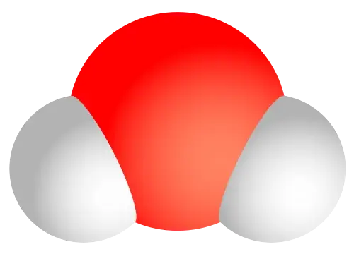 蛋菜肴漂亮分子PNG免抠图片